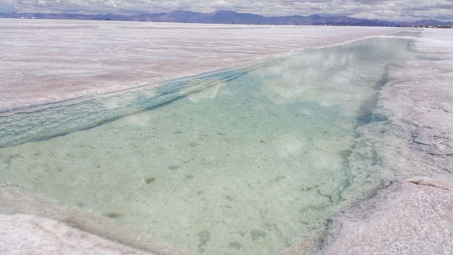 From Jujuy: Salinas Grandes, Purmamarca & Los Colorados Hike - The guide and transport can shape the day
