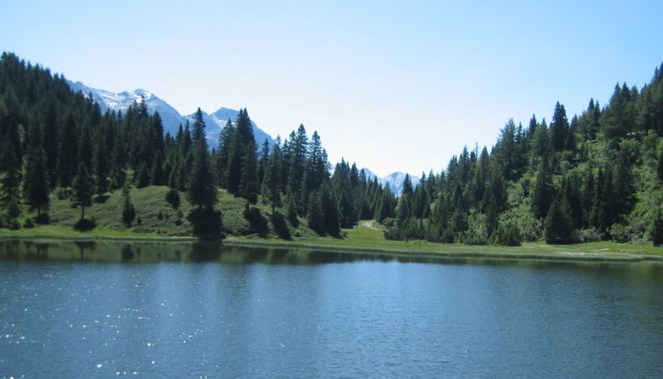 From Jujuy: Yala and Termas de Reyes Half-Day Tour - Practical advice for a smoother half-day