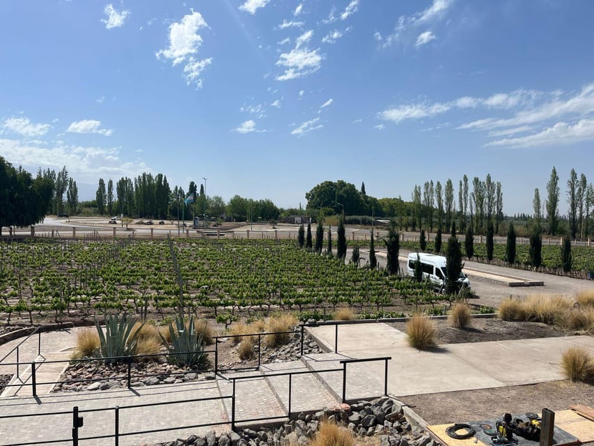 From Mendoza: 3 Wineries, Olive Oil Factory Tour & Tasting - Who should book this Maipú outing?