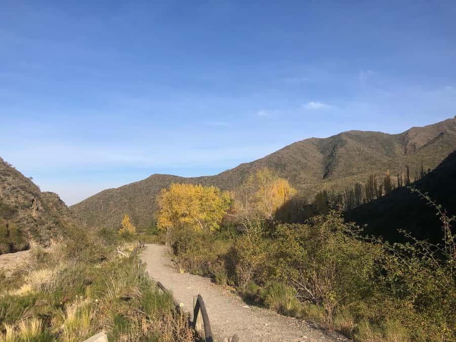 From Mendoza: Andes High Mountain Full-Day Tour - From Mendoza to Potrerillos Dam
