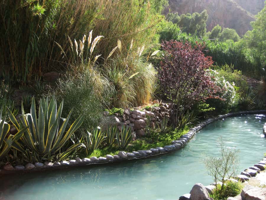 From Mendoza: Premium Spa Day at the Cacheuta Hot Springs - The included buffet lunch