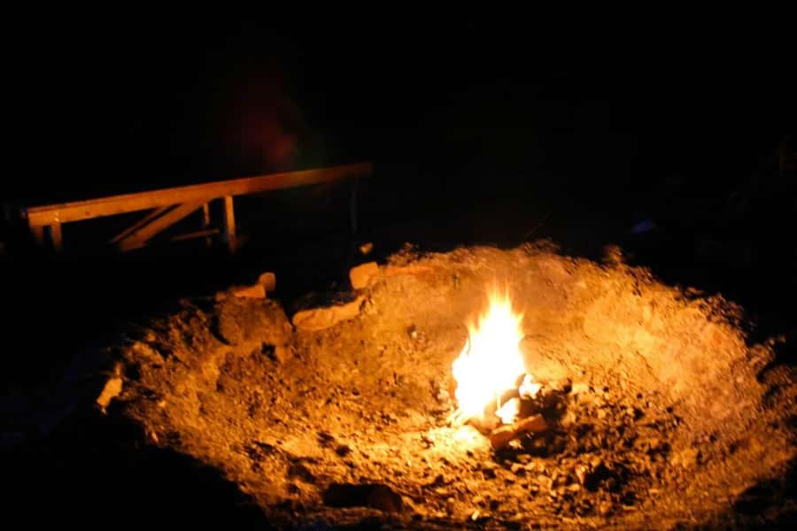 From Mendoza: Sunset Horseback Ride and Asado in the Andes - Why the Horses Matter More Than Speed
