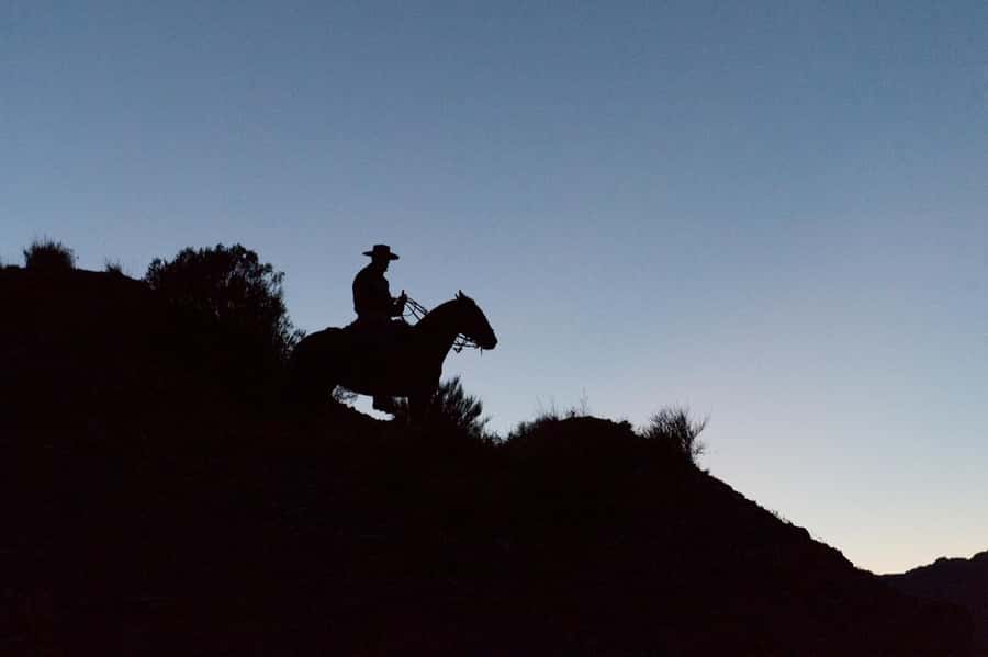 From Mendoza: Sunset Horseback Ride and Asado in the Andes - Santiago and the Value of a Local Guide