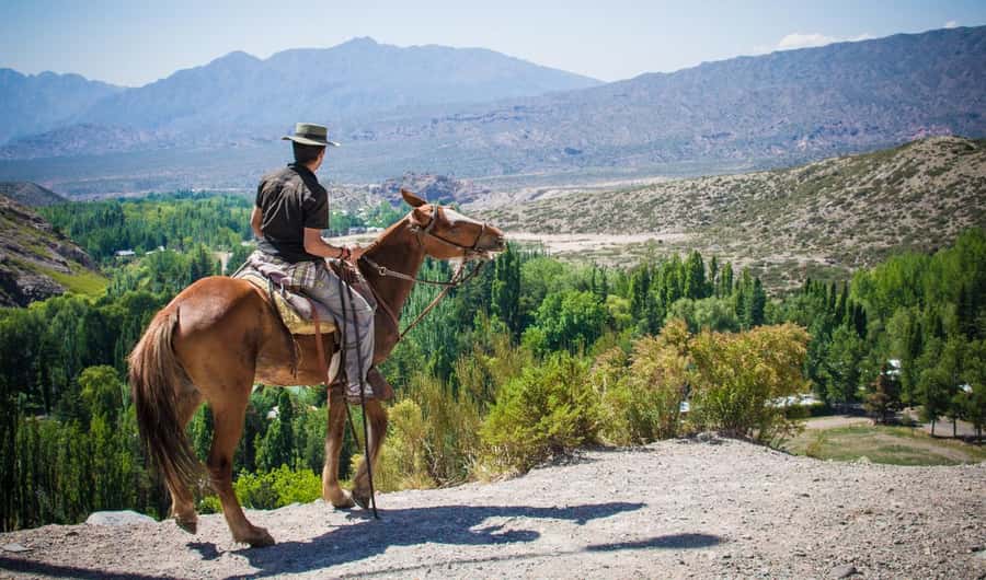 From Mendoza: Sunset Horseback Ride and Asado in the Andes - The Ride Begins With Practical Comfort