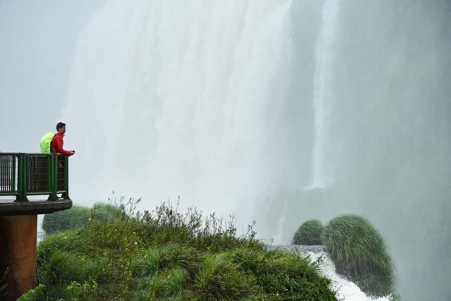 From Puerto Iguazu: Half-Day Brazilian Falls Excursion - Jungle trails, heat, and wildlife