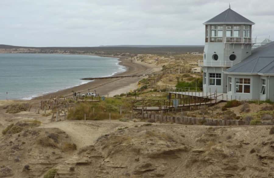 From Puerto Madryn: City and Punta Loma Tour - Punta Cuevas and the Tehuelche monument