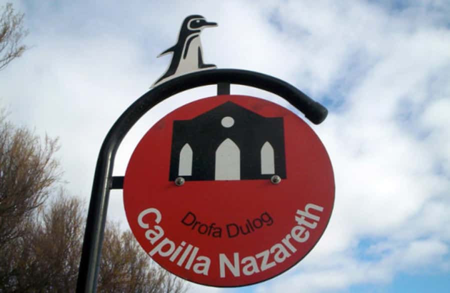 From Puerto Madryn: City and Punta Loma Tour - Watching sea lions and black cormorants