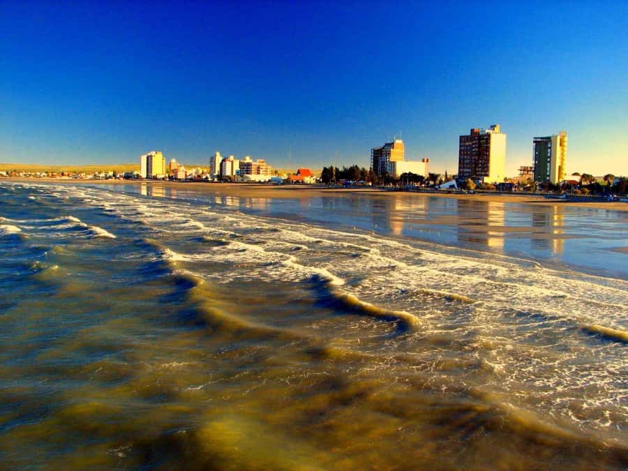 From Puerto Madryn: City and Punta Loma Tour - The guide can shape the experience