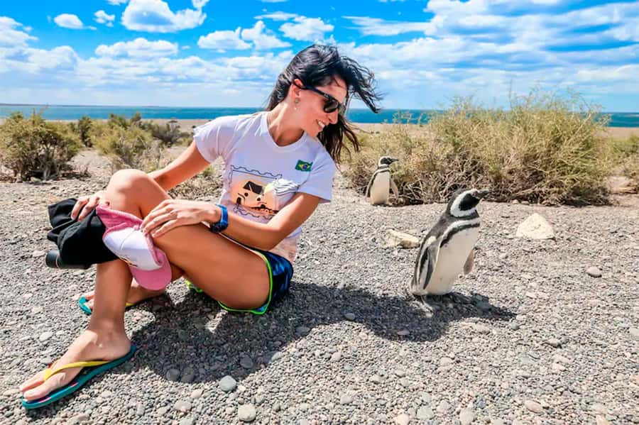 From Puerto Madryn: Full Day Excursion to Punta Tombo - The Punta Tombo Interpretation Center