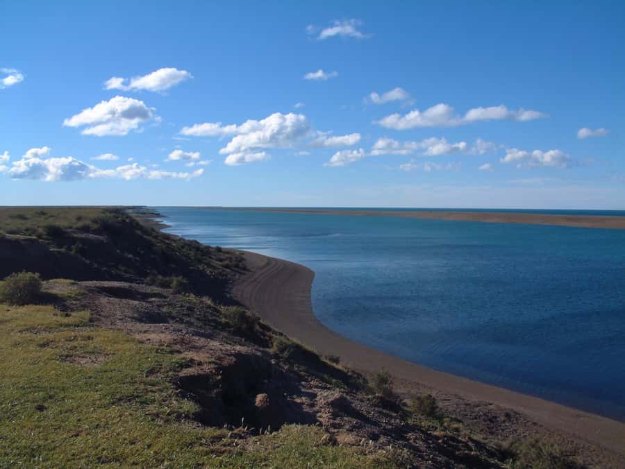From Puerto Madryn: Full-Day Valdes Peninsula Tour - Punta Delgada and the elephant seal coast