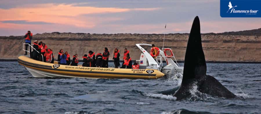 From Puerto Madryn: Full-Day Valdes Peninsula Tour - Carlos Ameghino Isthmus sets the scene