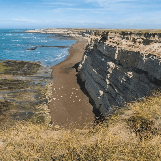 From Puerto Madryn: Peninsula Valdés Shore Excursion - Is $112 a fair price?