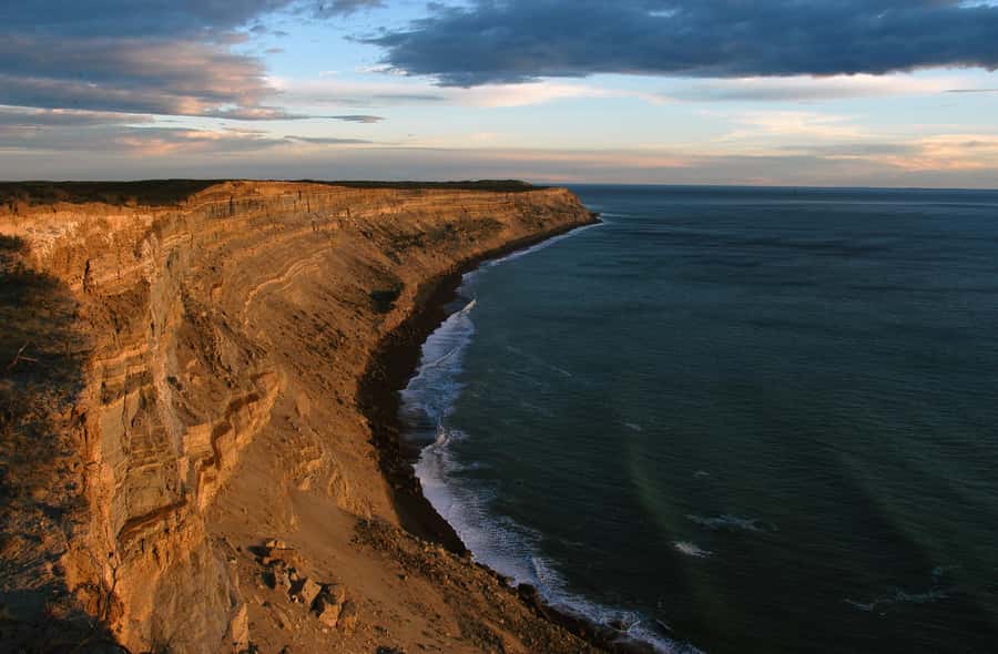 From Puerto Madryn: Valdes Peninsula Full-Day Tour - Why Valdes Peninsula deserves a full day