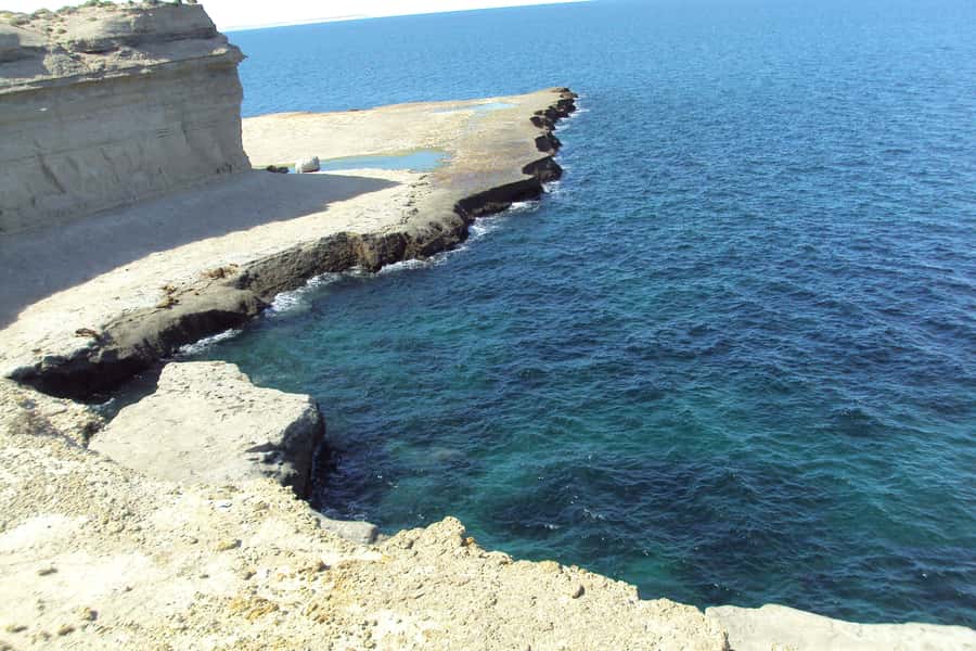 From Puerto Madryn: Valdes Peninsula Full-Day Tour - Puerto Piramides and the optional whale trip