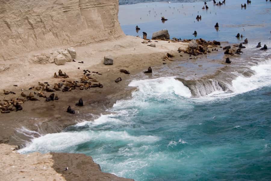 From Puerto Madryn: Valdes Peninsula Full-Day Tour - The Carlos Ameghino Isthmus sets the scene