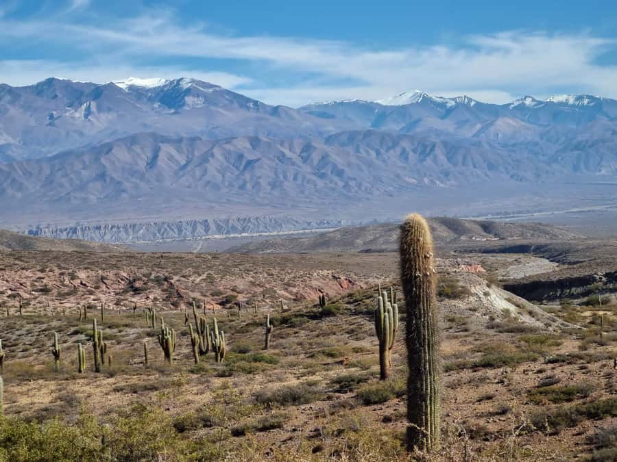 From Salta: 2-Day Guided Trip to Cafayate and Cachi - Garganta del Diablo and the red-rock formations