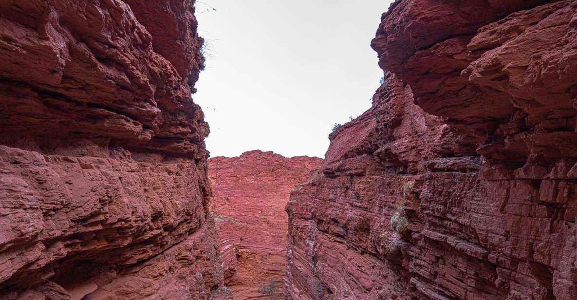From Salta: 2 Day Guided Trip to Cafayate & Salinas Grandes - Garganta del Diablo and the red-rock scenery