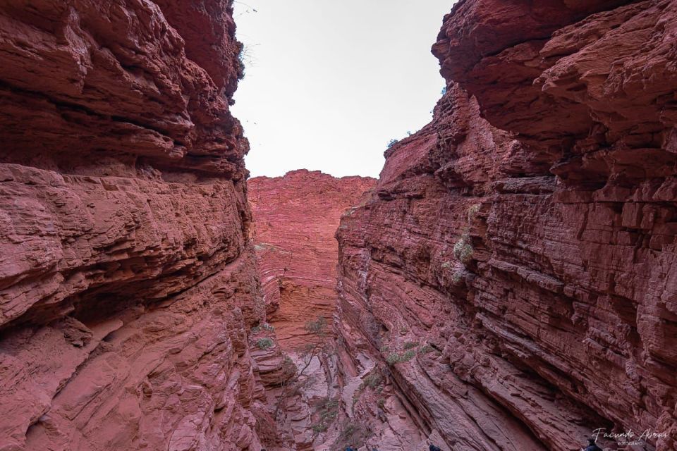 From Salta: 2 Day Guided Trip to Cafayate & Salinas Grandes - Day two: entering the Quebrada de Humahuaca