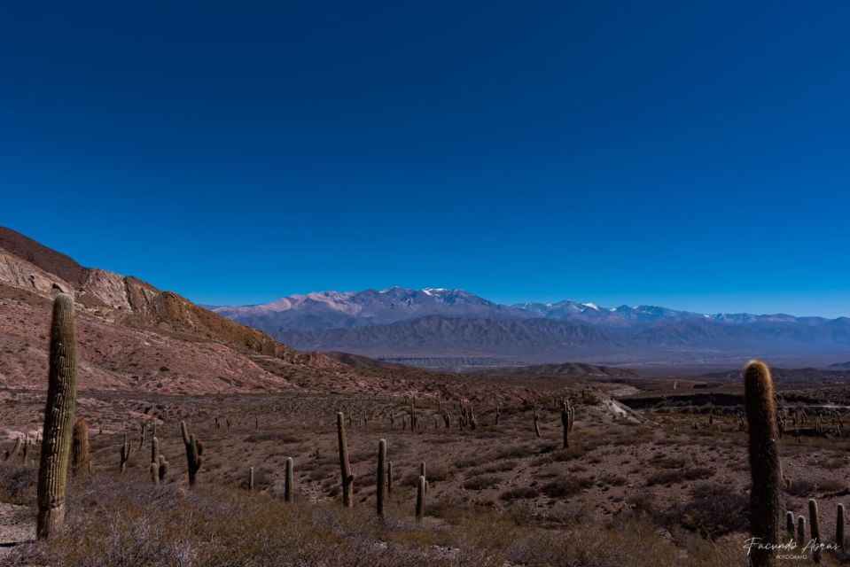 From Salta: 4-Day Trip in Salta Province & Salinas Grandes - What the $183 Price Buys You
