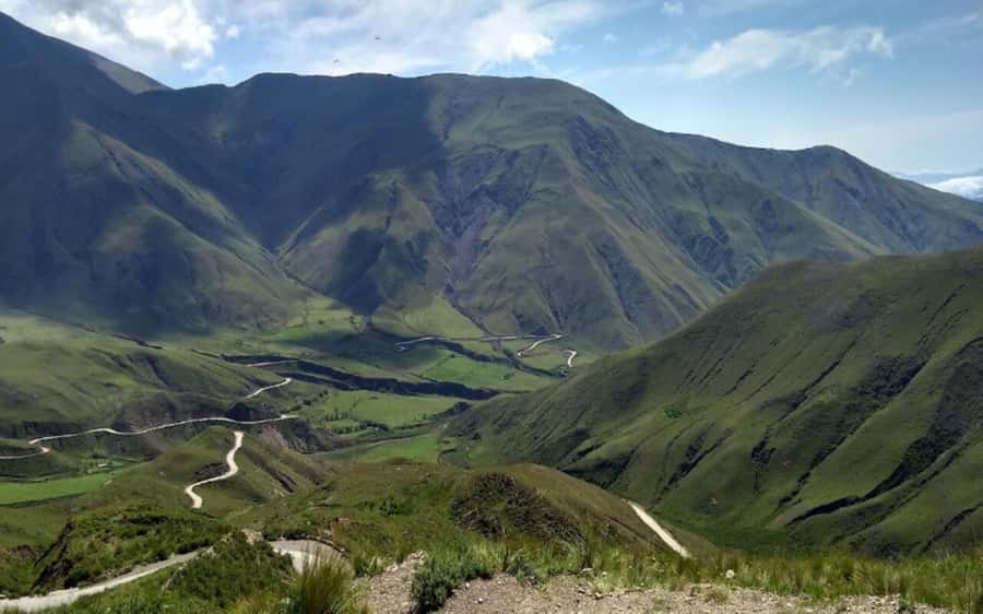 From Salta: Cachi and Los Cardones National Park Tour - The guides make a real difference