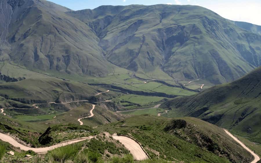 From Salta: Cachi and Los Cardones National Park Tour - Los Cardones National Park and its giant cacti