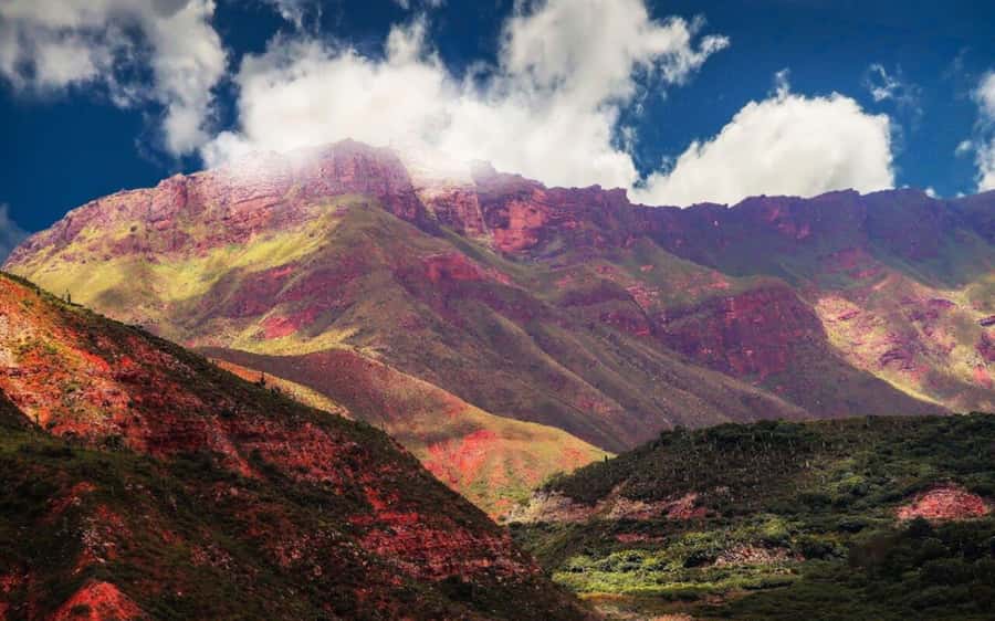 From Salta: Cachi and Los Cardones National Park Tour - Recta del Tin Tin, an Inca road across the plateau