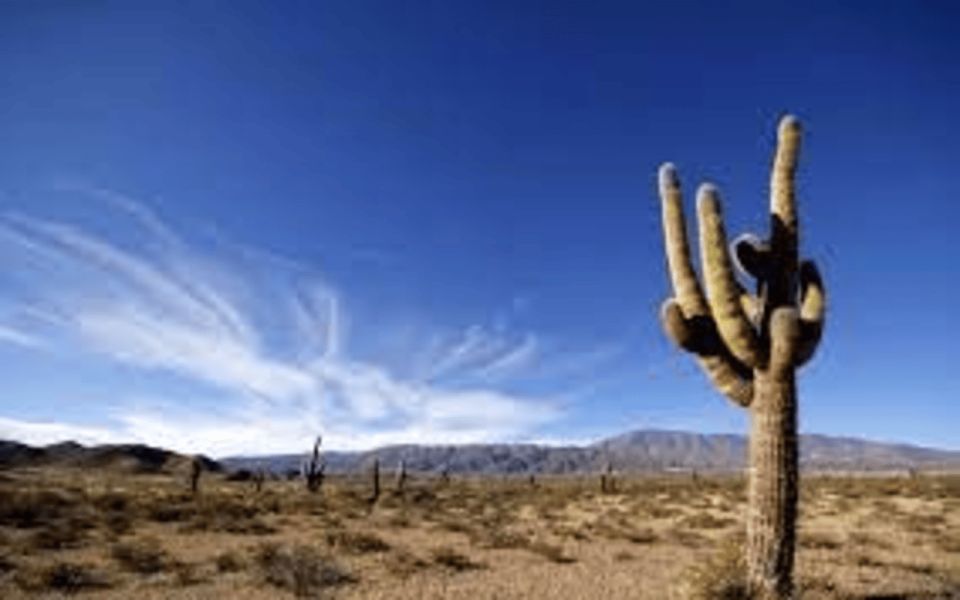 From Salta: Cachi and Los Cardones National Park Tour - Payogasta and the first taste of Cachi country