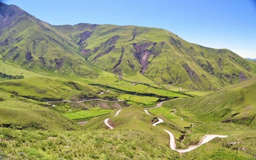 From Salta: Cachi and Los Cardones National Park Tour - What the $30 price really gives you