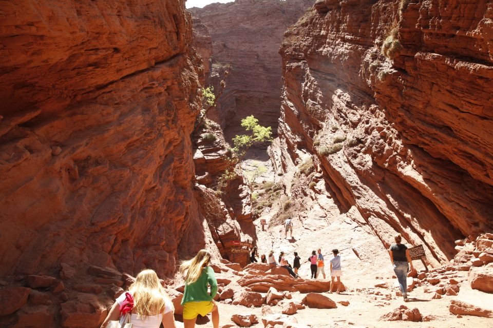 From Salta: Cafayate and Hornocal 2-Day Tour with Transfer - Why this two-day pairing works