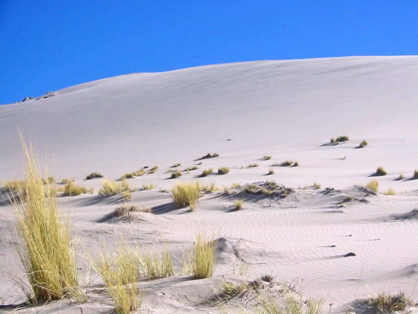 From Salta: Cafayate and Hornocal 2-Day Tour with Transfer - Day Two: Route 9 and the Quebrada de Humahuaca