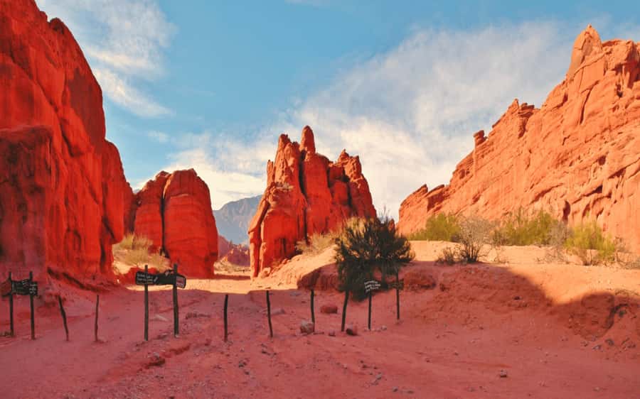 From Salta:Cafayate and the imposing Quebrada de las Conchas - Key points to know before booking