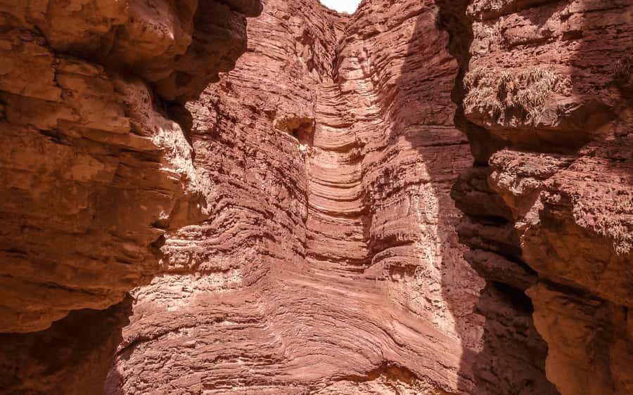 From Salta:Cafayate and the imposing Quebrada de las Conchas - Cafayate, wine country at the far end