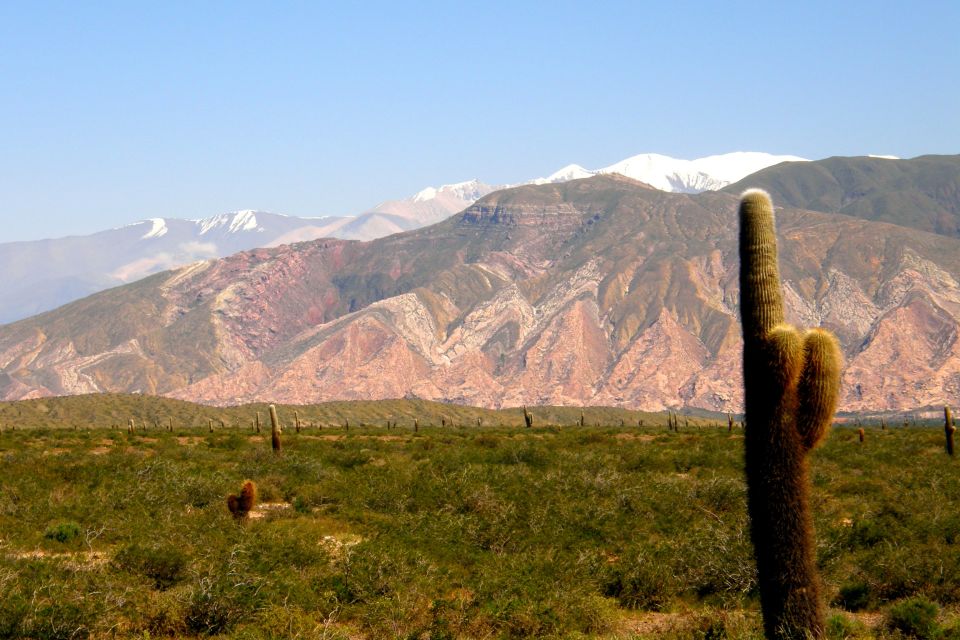 From Salta: Cafayate, Cachi, & Hornocal 3-Day Tour - What the $136 price really covers