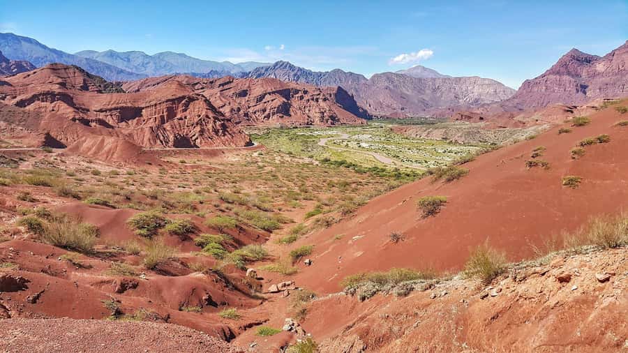 From Salta: Cafayate Day Trip with Wine Tasting - Wine tasting in Cafayate