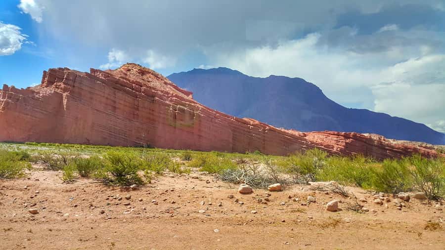 From Salta: Cafayate Day Trip with Wine Tasting - Is $40 good value?
