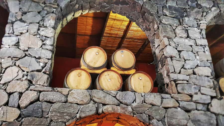 From Salta: Cafayate Day Trip with Wine Tasting - Who should book this Salta day trip?