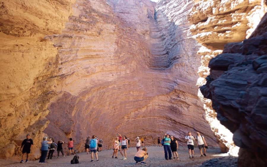 From Salta: Cafayate, Humahuaca, Cachi, & Salinas Grandes - Minibus comfort and road-day stamina