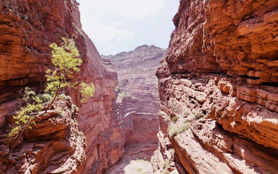 From Salta: Cafayate, land of wines and imposing ravines - Two hours in Cafayate