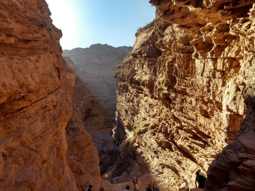 From Salta: Cafayate, Salinas Grandes, & Hornocal Tour - Who gets the best value from $128