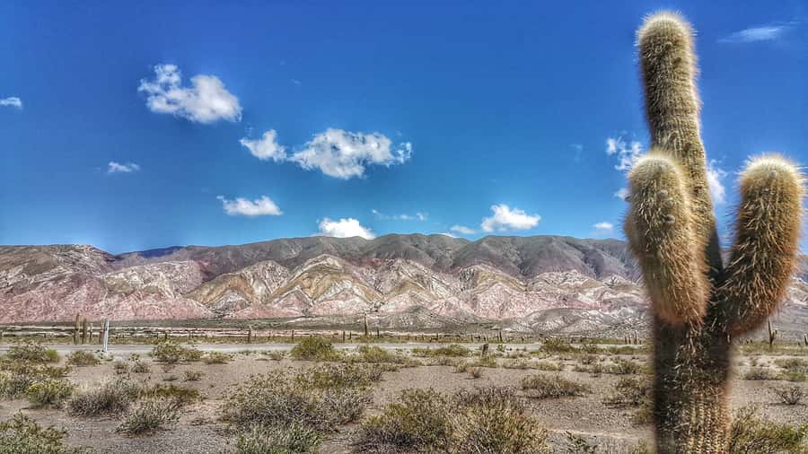 From Salta: Day Trip to Cachi and the Calchaquí Valleys - The Cuesta del Obispo and its wide valley views