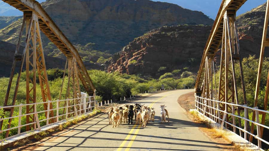 From Salta: Day Trip to Cafayate - Arriving in Cafayate, the wine town