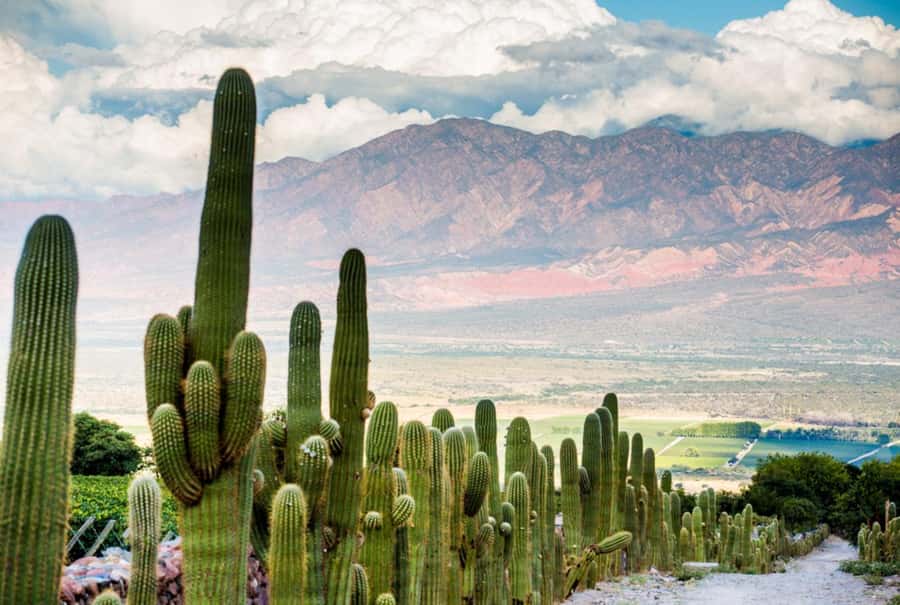 From Salta: Day Trip to Cafayate - How much time you really spend on the road