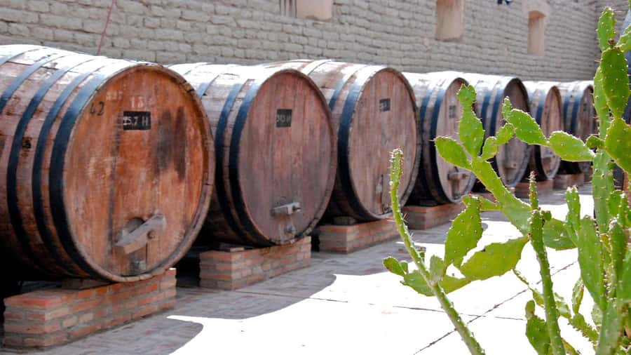 From Salta: Day Trip to Cafayate - The $41 price and what it covers