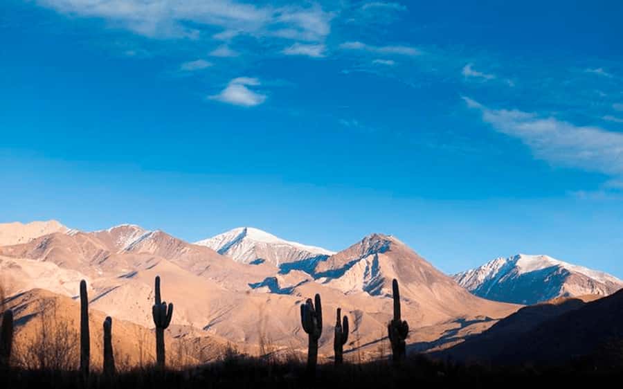 From Salta: Full-day excursions through Cachi and Humahuaca - La Piedra del Molino and High-Altitude Road Travel