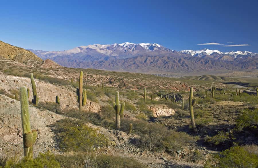 From Salta: Full-Day Scenic Tour to Cachi - Climbing the Cuesta del Obispo