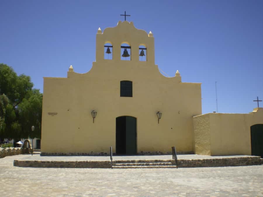 From Salta: Full-Day Scenic Tour to Cachi - Los Cardones National Park and the cardon cactus