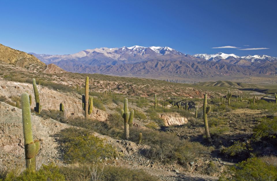 From Salta: Full-Day Scenic Tour to Cachi - Arriving in Cachi for lunch and a walk
