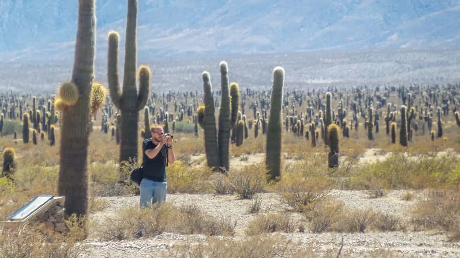 From Salta: Full-Day Scenic Tour to Cachi - The return drive and the comfort question