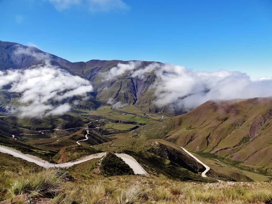 From Salta: Full-Day Scenic Tour to Cachi - The Gorge of Escoipe and Los Laureles