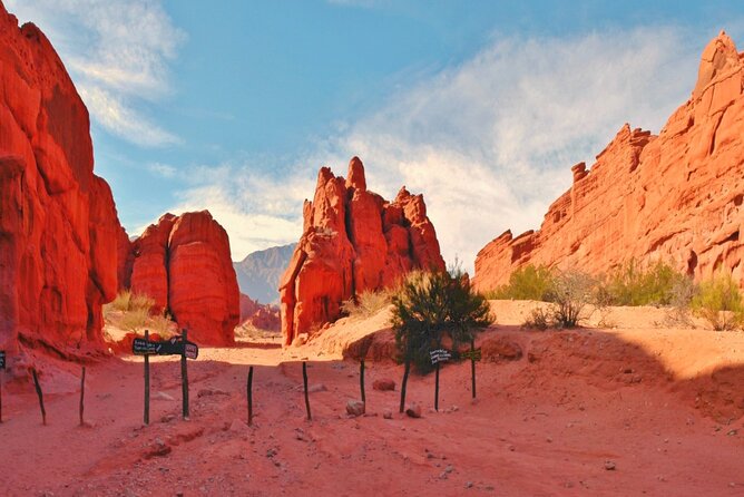 From Salta: Full-Day Tour to Cafayate, Land of Wines - Why the route is worth the long day